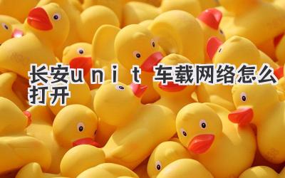 長安unit車載網絡怎么打開