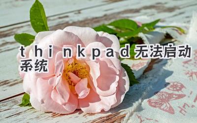thinkpad無法啟動系統