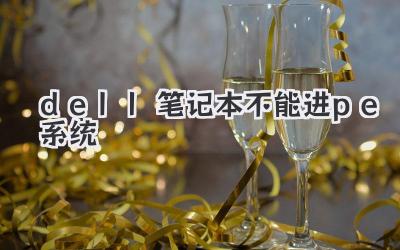 dell筆記本不能進pe系統