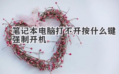 筆記本電腦打不開按什么鍵強(qiáng)制開機(jī)