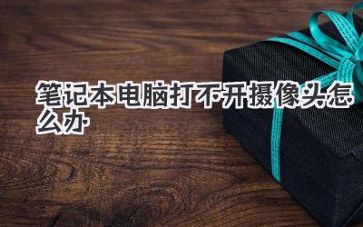 筆記本電腦打不開攝像頭怎么辦