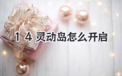 14靈動島怎么開啟