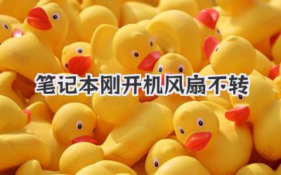 筆記本剛開機風扇不轉