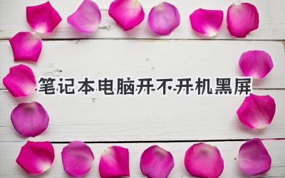 筆記本電腦開不開機(jī)黑屏