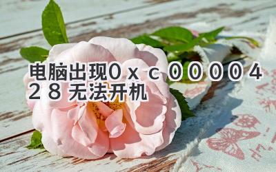 電腦出現0xc0000428無法開機