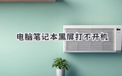 電腦筆記本黑屏打不開機