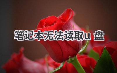 筆記本無法讀取u盤
