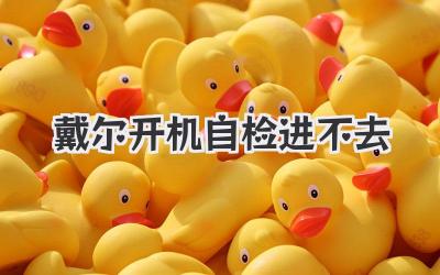 戴爾開機(jī)自檢進(jìn)不去