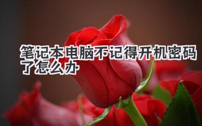 筆記本電腦不記得開機(jī)密碼了怎么辦