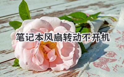 筆記本風扇轉動不開機