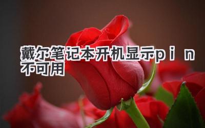 戴爾筆記本開機顯示pin不可用