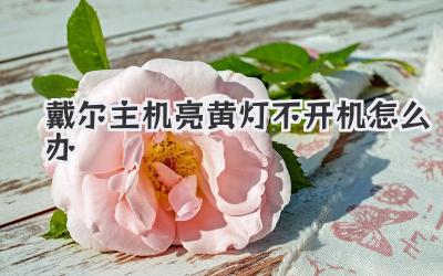 戴爾主機亮黃燈不開機怎么辦