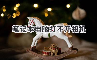 筆記本電腦打不開相機