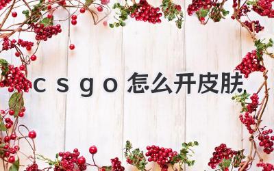 csgo怎么開皮膚