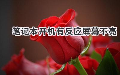 筆記本開機有反應(yīng)屏幕不亮