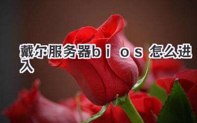 戴爾服務器bios怎么進入