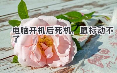 電腦開機后死機,鼠標動不了