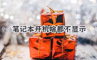 筆記本開機啥都不顯示