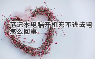 筆記本電腦開機充不進去電怎么回事