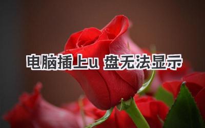 電腦插上u盤無法顯示