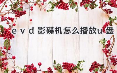 evd影碟機怎么播放u盤