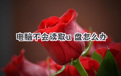 電腦不會讀取u盤怎么辦