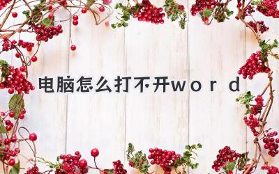 電腦怎么打不開word