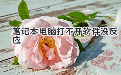 筆記本電腦打不開軟件沒反應