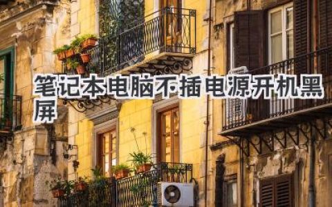 筆記本電腦不插電源開機黑屏：急救指南與自查方案