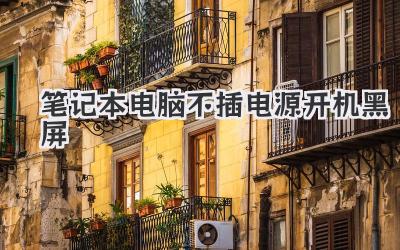 筆記本電腦不插電源開機黑屏